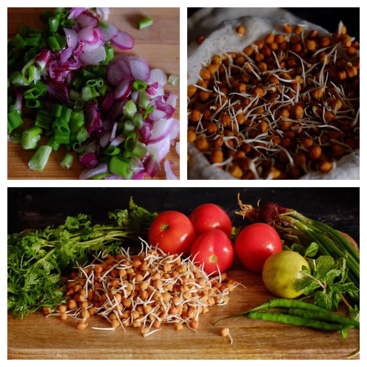 Black Chickpea Sprouts Indo-Mediterranean Salad on notjustspice.com