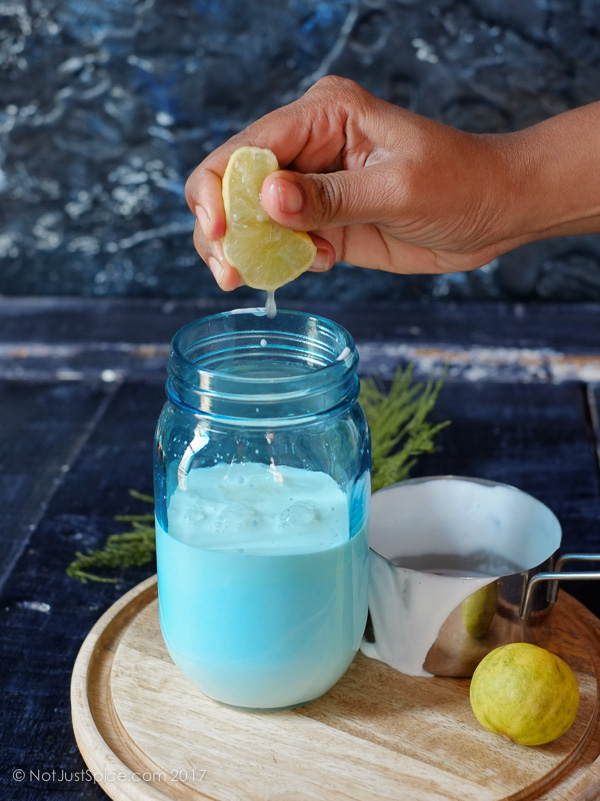 How To Make Sour Cream on notjustspice.com