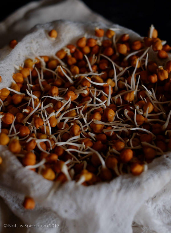 How To Make Sprouts at Home, and Why