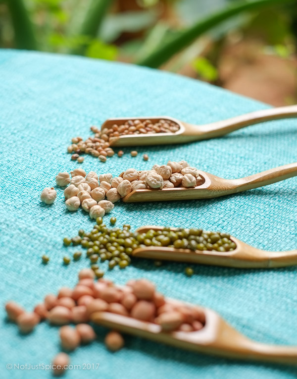Multigrain Sundal on notjustspice.com